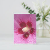 Carte Postale Fleurs roses (Debout devant)