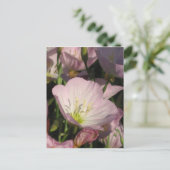Carte postale Fleurs roses (Debout devant)