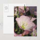 Carte postale Fleurs roses (Devant / Derrière)
