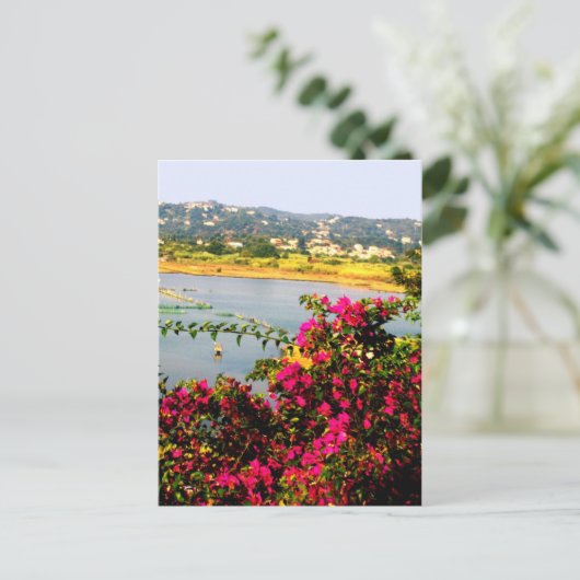 Carte Postale Fleurs roses (Debout devant)