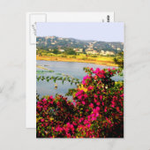 Carte Postale Fleurs roses (Devant / Derrière)