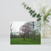 Carte Postale Fleurs roses (Debout devant)