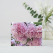 Carte Postale Fleurs roses (Debout devant)