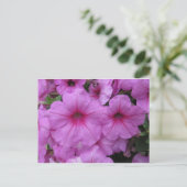 Carte Postale Fleurs roses (Debout devant)