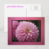 Carte Postale Fleurs roses (Devant / Derrière)