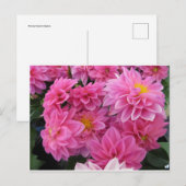 Carte Postale Fleurs roses (Devant / Derrière)