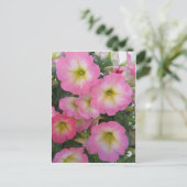 Carte Postale Fleurs roses (Debout devant)