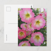 Carte Postale Fleurs roses (Devant / Derrière)
