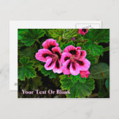 Carte Postale Fleurs roses 1 (Devant / Derrière)