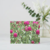 Carte Postale Fleurs roses chaudes (Debout devant)