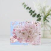 Carte Postale Fleurs roses Ciel Bleu. (Debout devant)