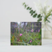 Carte Postale Fleurs roses de Louisiane (Debout devant)