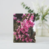 Carte Postale Fleurs roses de printemps (Debout devant)