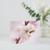 Carte Postale Fleurs roses du printemps (Debout devant)