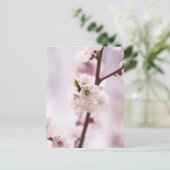 Carte Postale Fleurs roses du printemps (Debout devant)