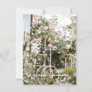 Carte postale Fleurs Roses Escalades