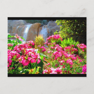 Carte Postale Fleurs roses et cascade