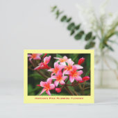 Carte Postale Fleurs roses hawaïennes de Plumeria, Maui (Debout devant)