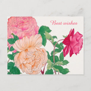 Carte Postale Fleurs Roses rose et orange pâle Meilleurs voeux
