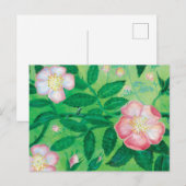 Carte Postale Fleurs roses sauvages (Devant / Derrière)