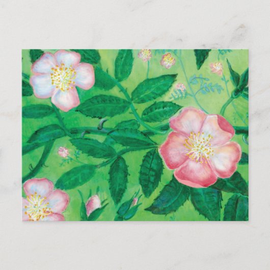 Carte Postale Fleurs roses sauvages (Devant)