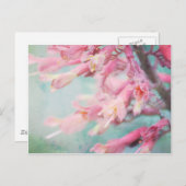 Carte Postale Fleurs roses sur Aqua arrière - plan (Devant / Derrière)