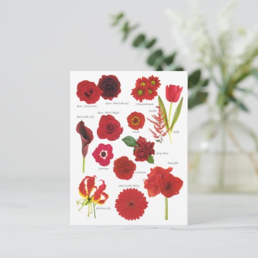 Carte Postale Fleurs rouge (Debout devant)