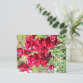 Carte postale fleurs rouges (Debout devant)
