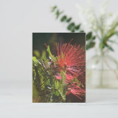 Carte Postale Fleurs rouges fibred (Debout devant)