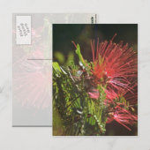 Carte Postale Fleurs rouges fibred (Devant / Derrière)