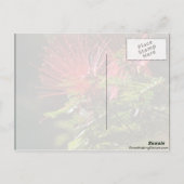 Carte Postale Fleurs rouges fibred (Dos)