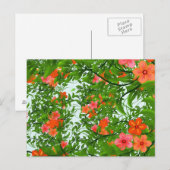 Carte Postale Fleurs rouges sur vert (Devant / Derrière)