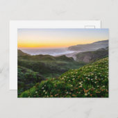 Carte Postale Fleurs | Santa Cruz Californie (Devant / Derrière)