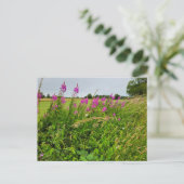 Carte Postale Fleurs sauvages (Debout devant)