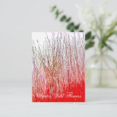 CARTE POSTALE FLEURS SAUVAGES (Debout devant)