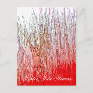 CARTE POSTALE FLEURS SAUVAGES