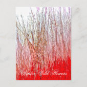 CARTE POSTALE FLEURS SAUVAGES (Devant)