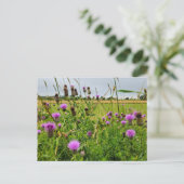Carte Postale Fleurs sauvages  (Debout devant)
