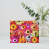 Carte Postale fleurs sauvages (Debout devant)
