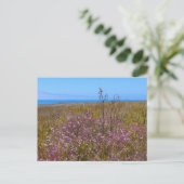 Carte Postale Fleurs sauvages (Debout devant)