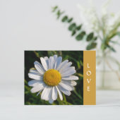 CARTE POSTALE FLEURS SAUVAGES (Debout devant)