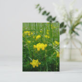 Carte Postale fleurs sauvages (Debout devant)