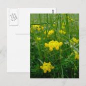 Carte Postale fleurs sauvages (Devant / Derrière)