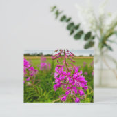 Carte Postale Fleurs sauvages (Debout devant)