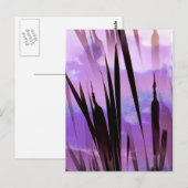 CARTE POSTALE FLEURS SAUVAGES (Devant / Derrière)