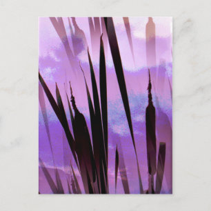 CARTE POSTALE FLEURS SAUVAGES