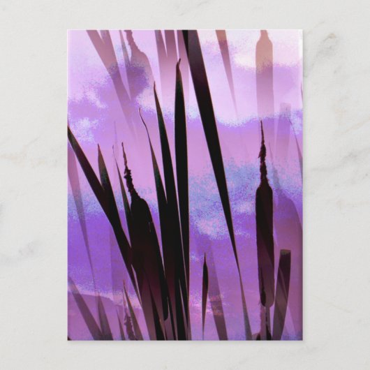 CARTE POSTALE FLEURS SAUVAGES (Devant)