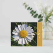 CARTE POSTALE FLEURS SAUVAGES (Debout devant)