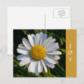 CARTE POSTALE FLEURS SAUVAGES (Devant / Derrière)