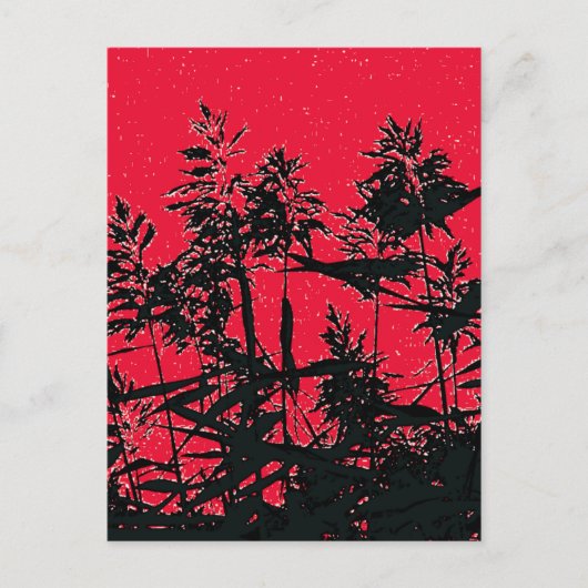 CARTE POSTALE FLEURS SAUVAGES (Devant)